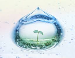 Nước sạch và vệ sinh môi trường đối với sức khỏe con người